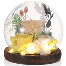 Preserved Champagne Rose in Glass Dome with Wooden Base – Eternal Decor & Unique Gift for Special Occasions
