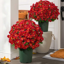 Umelé mamičky s motívom západu slnka Funsdecor, balíček 5