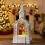 Fall Snow Globe Lantern 12.5 in USB or Battery Powered 1
