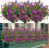Fuchsia kunstige blomster UV-resistente 8 bundter 1