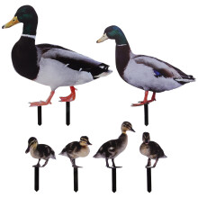Acrylic Duck Garden Stake Set – 6 Pack