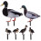 Acrylic Duck Garden Stake Set – 6 Pack 1