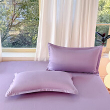 2 Pack Velvet Touch Microfiber Pillowcases Purple