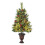 2ft Artificial Christmas Tree with Warm LED Lights, Pine 1
