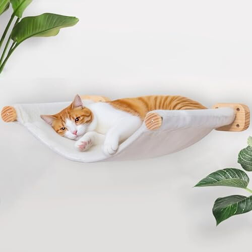 Hamac Cat Balla-Feistithe le Canbhás In-athraithe agus Plush