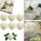 25-Pack Real-Touch Foam Roses with Stems 1