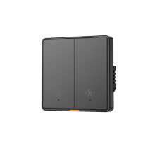 Tuya WIFI Light with 5M Human Motion Detection Alarm Sensor No Need Neutral Wire 2Gang