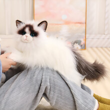 Handgefertigtes, realistisches Ragdoll-Katzen-Plüschtier