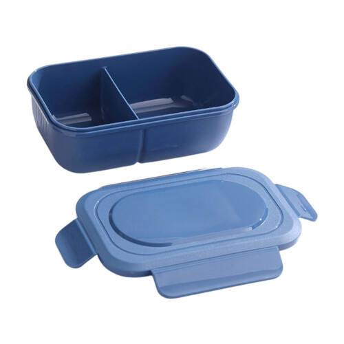 2-Compartment Silicone Bento Box – Microwave Safe, Blue