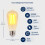 ST19 LED Edison Bulbs Amber Glass 6 Pack E26 1