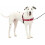 Szelki dla psa Easy Walk Medium/Lay Red Black 1