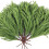 12 Pcs Artificial Norfolk Pine Branches 18 Inch 1