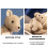 Kangourou en peluche réaliste, 30 cm 8