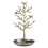Vintage Bird Tree Jewelry Display Stand 1
