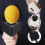 Mic Logo Box Microphone Logo Flag Station Sponge 1 Set 2