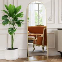EDX arched full-length mirror 58" x 19" gold