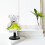 Sort PVC-dukkestander 10 x 5,5 x 2 cm 4