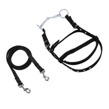 Rênes de cheval en nylon réglables noir têtière équestre 1,3 m+ pour l'équitation