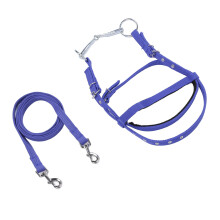 Nylon-Halfter mit verstellbarem Reithalfter, Reitkopfstück, Blau, S