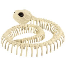 Halloweenská dekorace mini kostlivé sošky, polohovatelná krysa, pes, pavouk, kočka, sova, kostlivá figurka pro strašidelný dům, dekorace