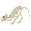 Poseable Cat Skeleton Decoration Plastic Halloween Prop 1