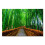 Arashiyama Bamboo Canvas Art 12 x 8 in 1