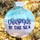 2D Beach Christmas Ornament Plastic Blue 7 cm 1