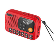 Portable FM Radio Wireless  Speaker Recorder with LED Screen Support TF Card U Disk for Home Outdoor A