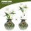 Keramische vaas met metallic bloemmotief – 9 cm 3