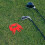 5Stk Professionelles Golf Divot Tool Rot Mit Glatter Oberfläche 4