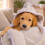 HugglePets HugglePets Tiny Tails Teddy Bear Comfort Puppy Blanket 2