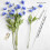 10 Pcs Artificial Poppy Flowers with Flexible Stems 3