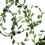 Olive Green Leaf Ribbon 269 ft  0.8 in 1