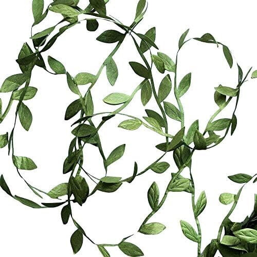 Olive Green Leaf Ribbon 269 ft  0.8 in