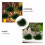Kunstrasen-Cluster Dunkelgrün 1 Set 5