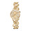Ted Baker Ted Baker BKPLIS501 Ladies Lilabel Watch 1