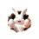 Easter Bunny Stickers for Home Decoration 1