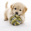HugglePets HugglePets Tiny Tails Fetch Ball Puppy Toy 2