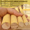 S&X Large Sanded Perch Covers for Small Birds 12-Pack 3/4" 5
