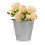 Γαλβανισμένος κουβάς από λευκοσίδηρο ασημί 1 συσκευασία για κήπο και μπαλκόνι 3