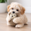 HugglePets HugglePets Tiny Tails Ball Belly Monkey Max Puppy Toy 2