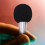 Mini-Mikrofon für Karaoke und Live-Streaming (1 Set) 8