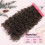 JINYUN Curly Extensions μαλλιών με κλιπ, 4 τεμάχια 24", δαντελένιο υφάδι, κοντό σγουρό, καφέ 3