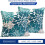 Svarta prickiga linneörngott 45x45 cm 2-pack 4