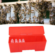 Ensemble de 21 pièces pour la cage de la reine | Apiculture sûre & transport