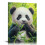Panda Bamboo Forest Canvas Wall Art 12x16 in 1