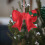 Handmade Non-Woven Snowflake Ornaments 1