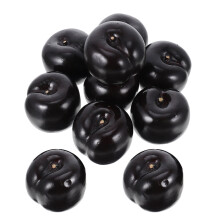 10Pcs Múnlaí Torthaí Cúr Pluma Dubh Réalaíocha