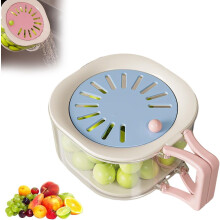 Passoire à fruits et récipient de rangement avec couvercle, panier à baies portable