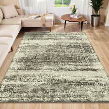 Tapis de salon vintage lavable, tapis à poils courts antidérapant pour chambre, bureau, chambre d'enfant et salle à manger – Compatible avec